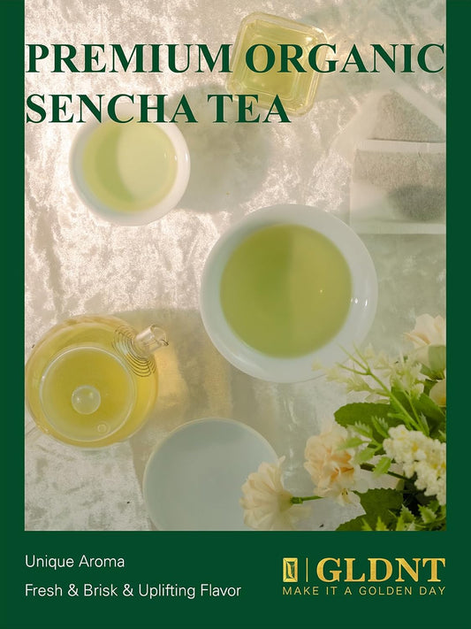 Gldnt Organic Sencha Tea Bags, Natural Organic Sencha Green Tea, Fresh & Smooth Flavor, Iced & Hot Tea, 100 Count