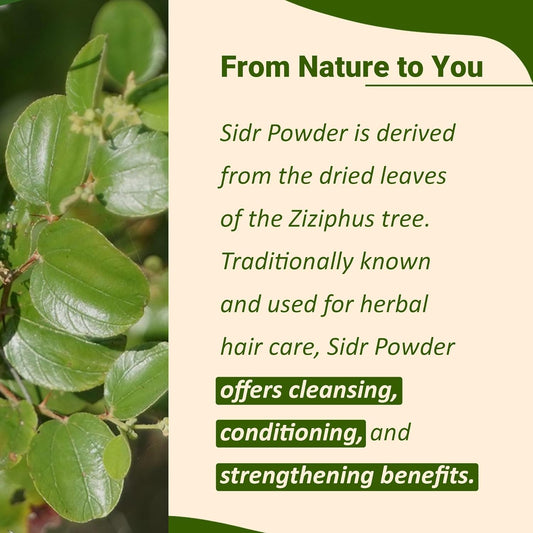 Mi Nature Fresh Sidr Leaves Powder 100G(3.5Oz) | Natural Deep Cleansing & Conditioning Herb For Hair Care| Traditional Herbal Cleanser |Plant-Based Source Of Mucilages And Saponins