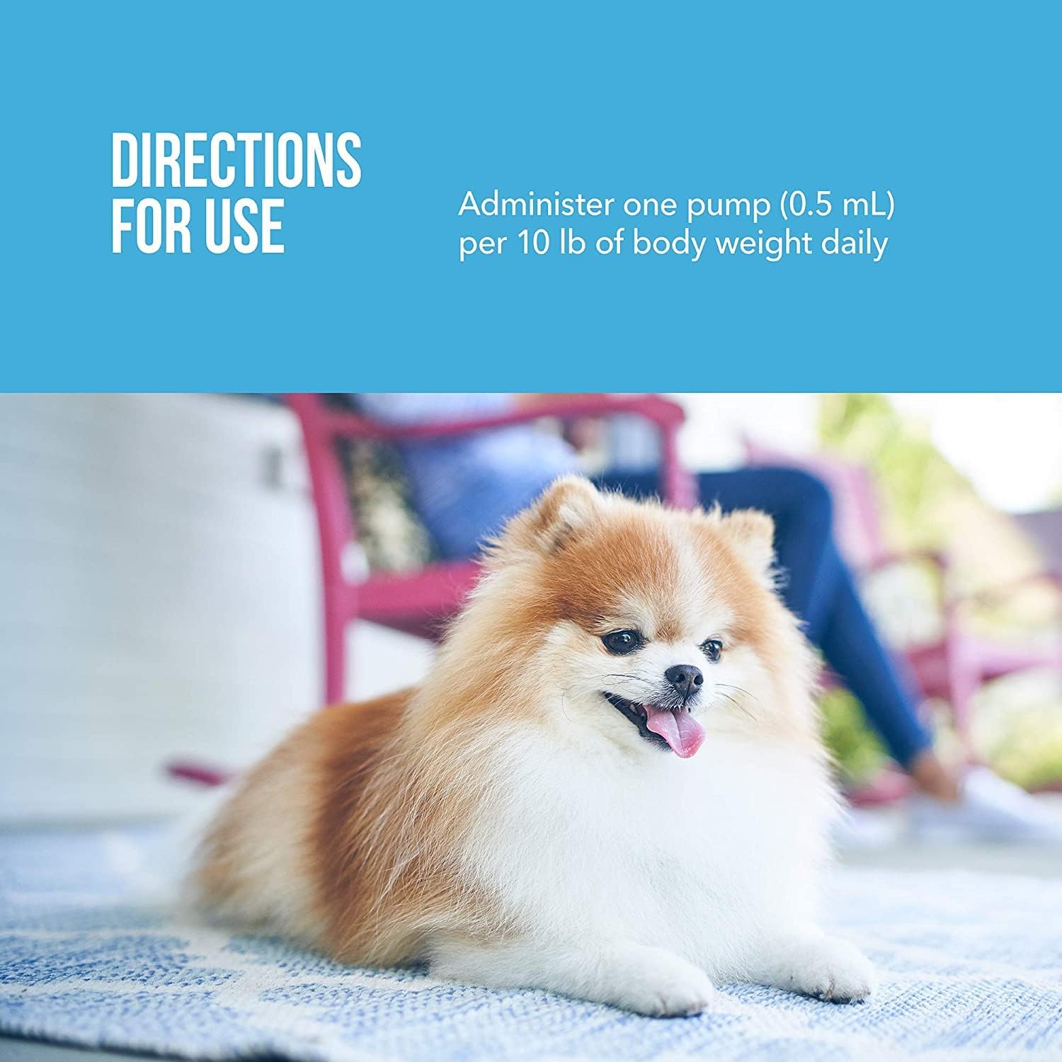 Free Form Omega-3 Fish Oil Liquid Pump Supplement for Small Dogs and Cats, 4 Fluid Ounces : Pet Suplements : Pet Supplies