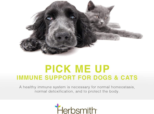 Herbsmith, Immune Support - 500G Powder