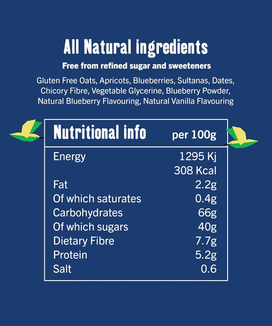 Gluten Free Snack Bars | Creative Nature Vegan Snack Bars | Blueberry Muffin Flavour | Healthy Snacks, Lunchbox Snacks | Top 14 Allergen Free | 20 X 30G Bars