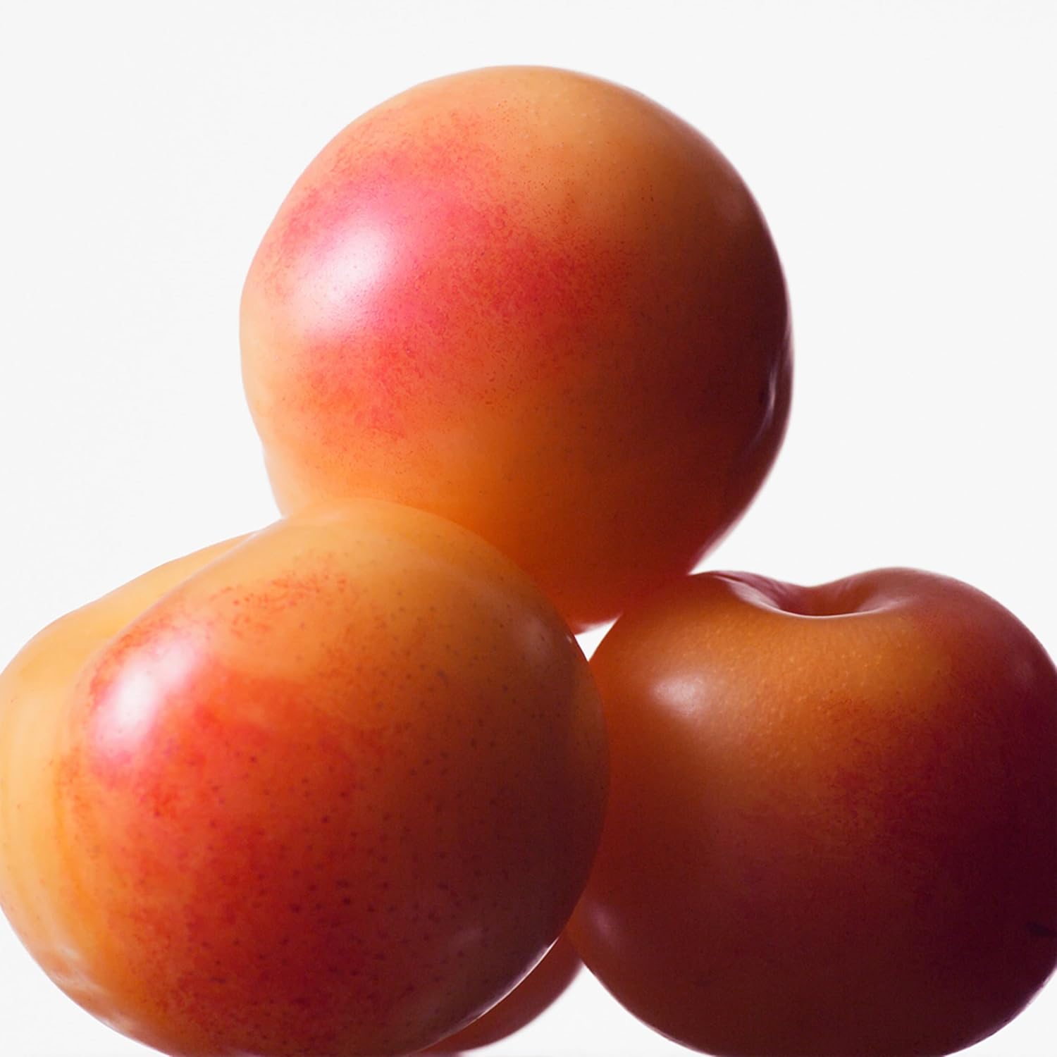 Calvin Klein Euphoria For Women Eau De Toilette 3.3 Fl Oz : Beauty & Personal Care