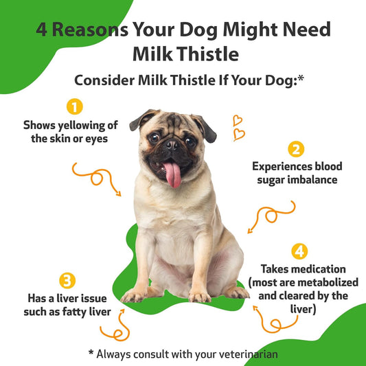 Pet Wellbeing Milk Thistle For Dogs - Supports Liver Health, Protects Liver - Glycerin-Based Natural Herbal Supplement - 2 Oz (59 Ml)
