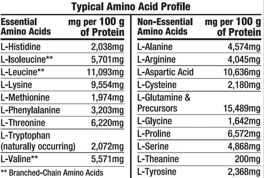 Healthy ‘N Fit 100% Whey Pro-Amino V2.0-Vanilla (2Lb): 100% Whey Protein Plus Peptides From America’S #1 Brand In Supplements, Technology And Purity. Vanilla, 2Lb