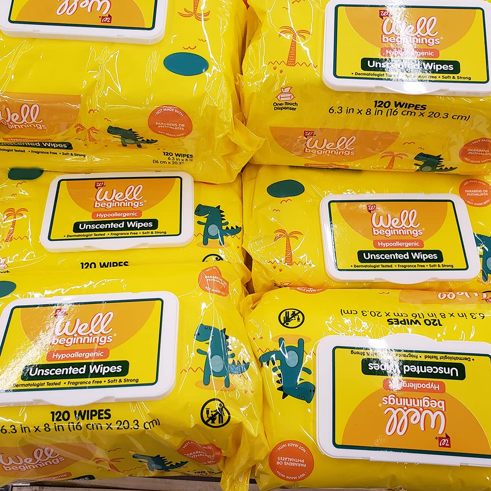 Well Beginnings Premium Hypoallergenic Unscented Baby Wipes, 120 Each Pack : Health & Household