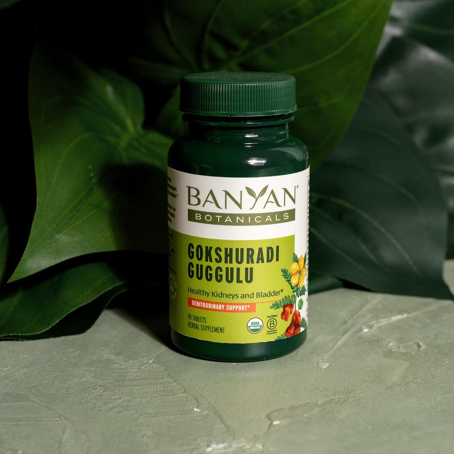 Banyan Botanicals Gokshuradi Guggulu Tablets – Organic Ayurvedic Supplement with Guggulu Resin and Gokshura – Supports Urinary Tract Health – 90 Tablets – Non-GMO Sustainably Sourced Vegan : Health & Household