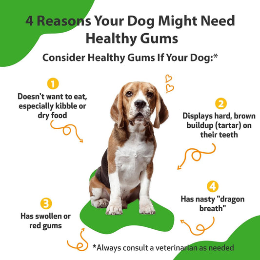 Pet Wellbeing - Healthy Gums For Dogs - Natural Supplement For Healthy Gums, Teeth And Breath Against Dog Gingivitis - 2Oz (59Ml)