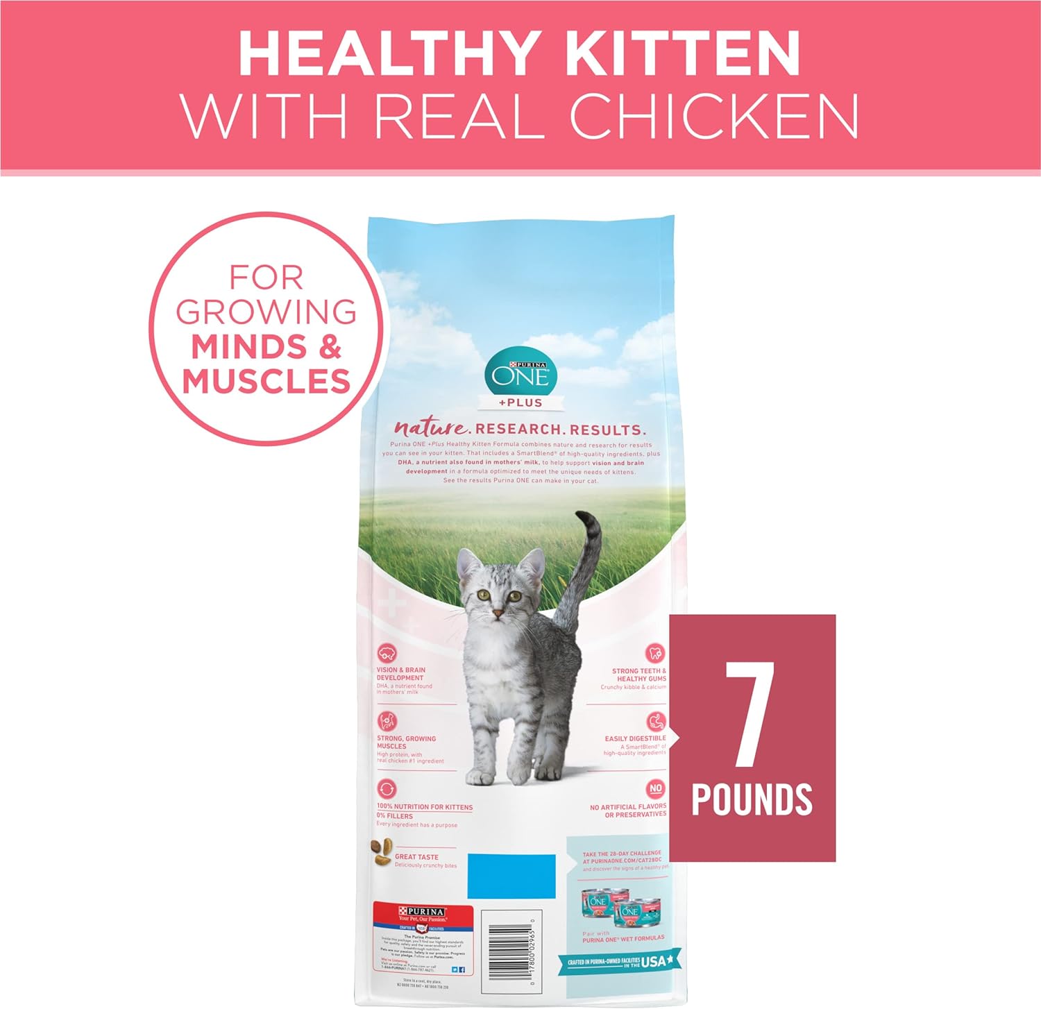 Purina ONE High Protein, Natural Dry Kitten Food, +Plus Healthy Kitten Formula - 7 lb. Bag : Dry Pet Food : Pet Supplies