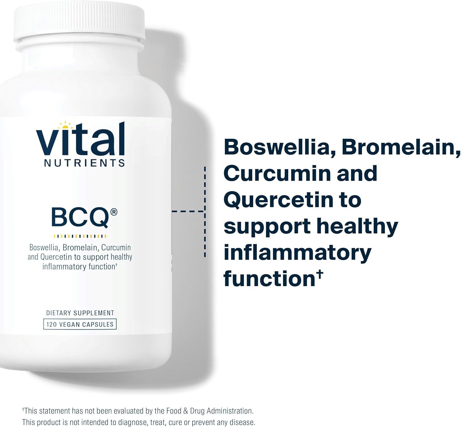 Vital Nutrients BCQ | Vegan Boswellia, Bromelain, Curcumin & Quercetin Supplement | Joint Support Supplement | Supports Sinus & Digestive Health | Gluten, Dairy, Soy Free | 120 Capsules : Health & Household