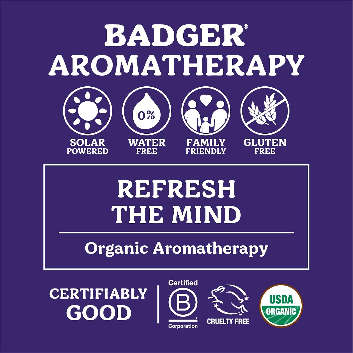 Badger - Aromatherapy Balm Stick Variety Pack, Certified Organic, Cheerful Mind, Stress Soother, Focus, Headache Soother, Yoga & Meditation, Aromatherapy Oils, Essential Oil Rollers, 0.15 oz (5 Pack) : Beauty & Personal Care