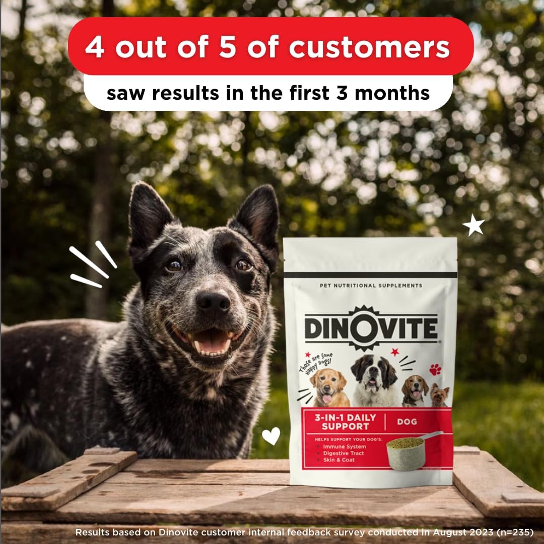 Dinovite Dog Probiotics for Yeast, Itchy Skin and Itchy Ears - Daily Skin & Coat, Digestive, and Immune Support for Small Dogs 1-18lbs – 90-Day Supply, Omega 3 Fatty Acids, Essential Pre & Probiotics : Pet Supplies