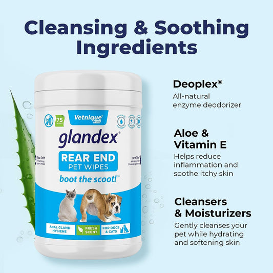 Vetnique Labs Glandex Dog Wipes for Pets Cleansing & Deodorizing Anal Gland Hygienic Wipe?s for Dogs & Cats with Vitamin E, Skin Conditioners and Aloe (450ct)