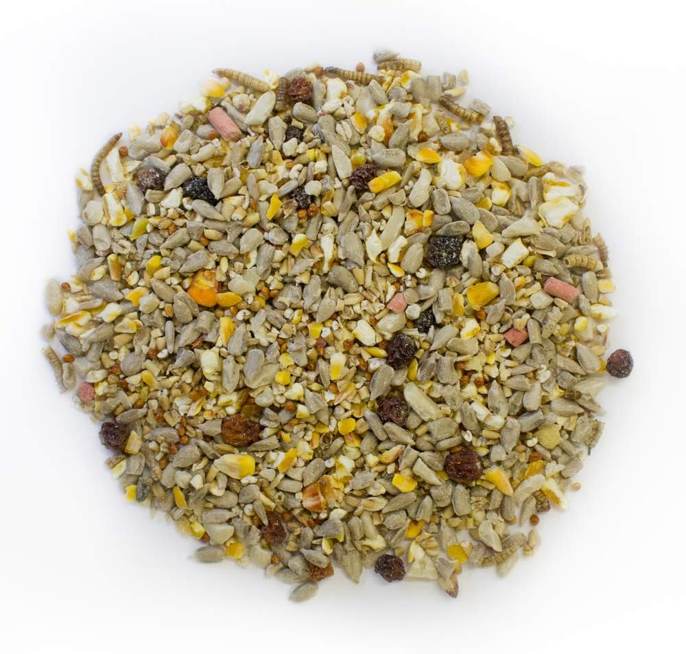 Extra Select Robin and Song Bird Feed Mix, 1 kg :Garden