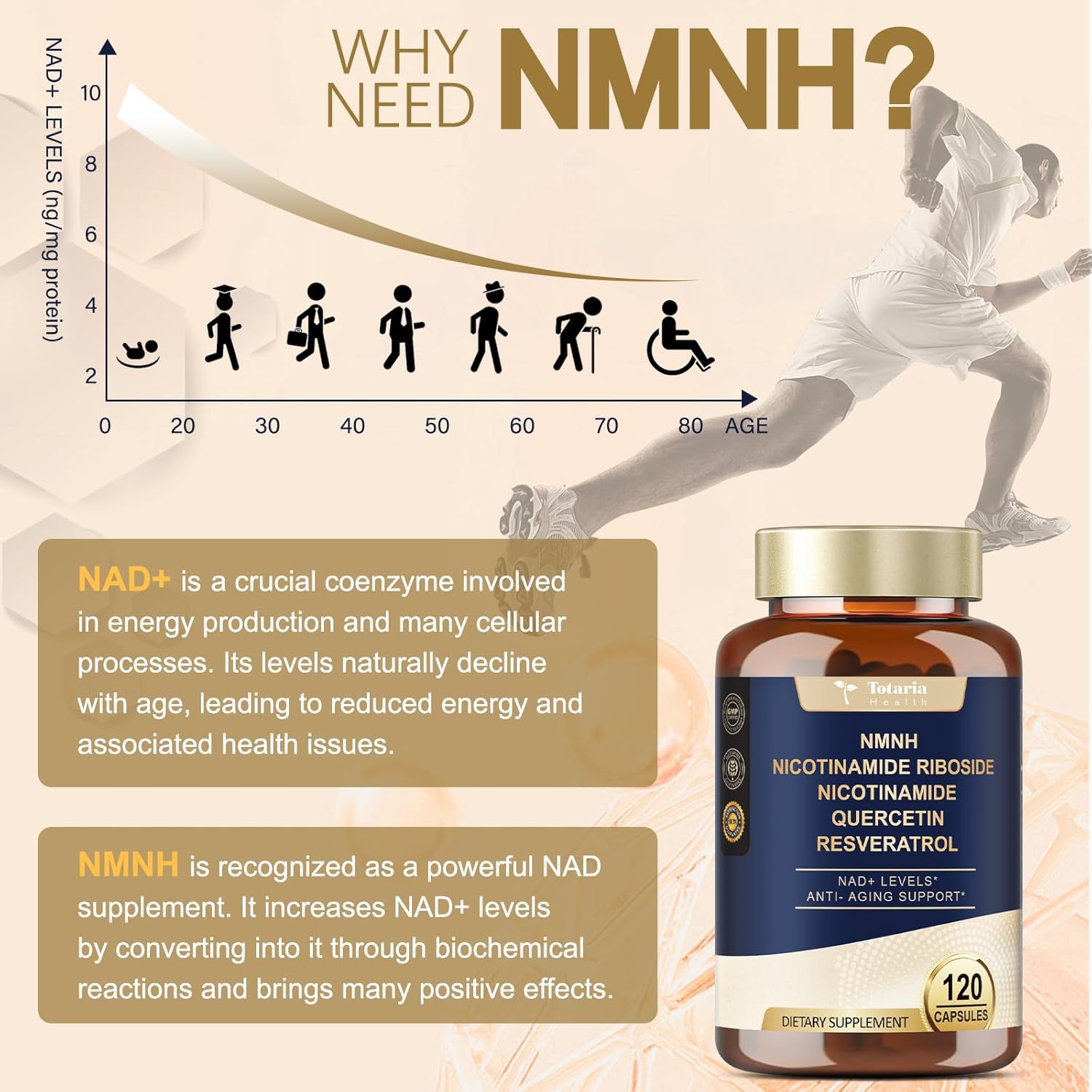Totaria Nmnh (Dihydronicotinamide Mononucleotide), Nmnh Supplement W/Niacinamide (Vitamin B3), Quercetin, Trans-Resveratrol, Support Nad+, Anti-Aging, Skin Cell Health & Energy, 240 Count : Health & Household