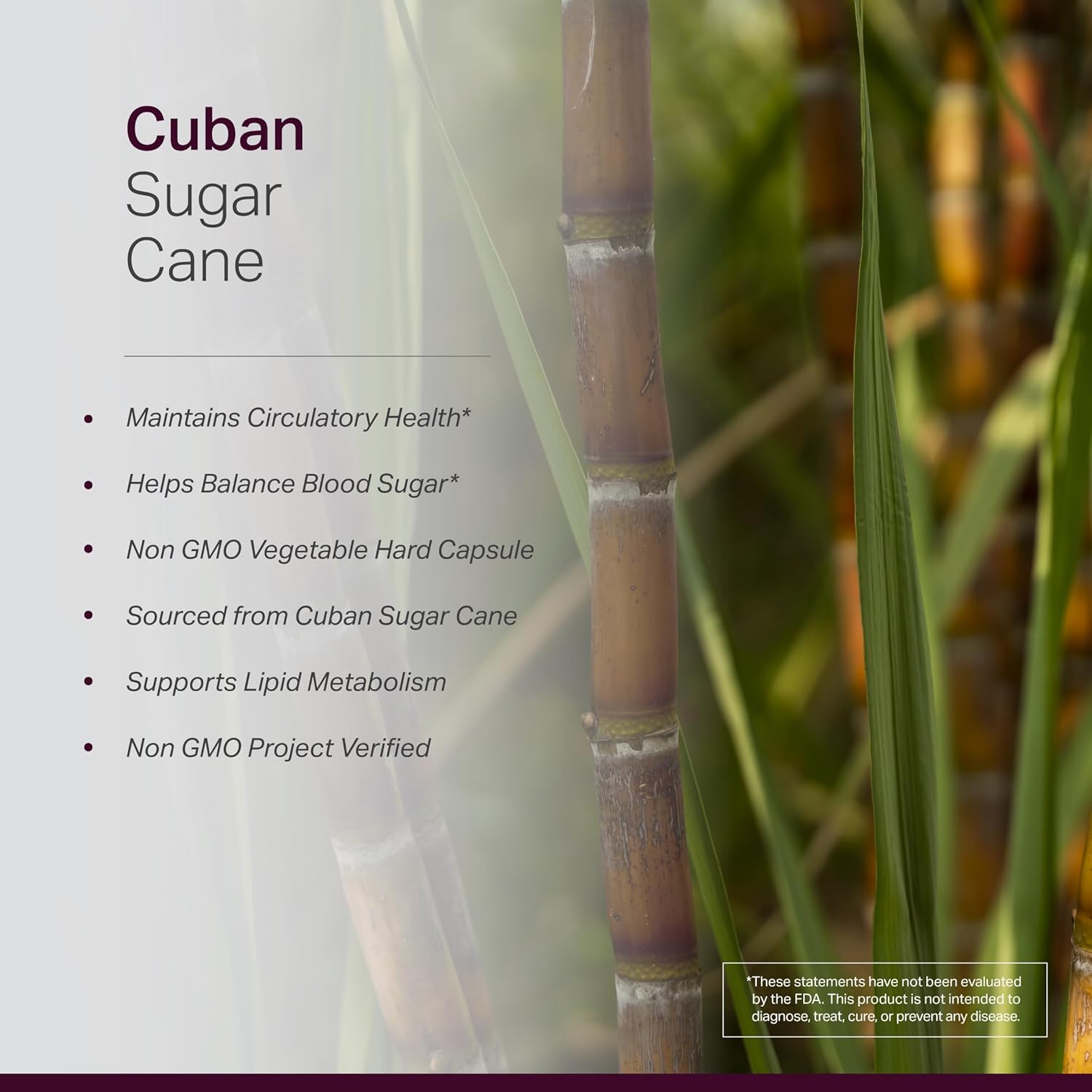 Anew Vita Policosanol Supplement - Healthy Lipid Levels, Platelet Function & Circulation, Cuban Sourced Sugarcane, 40Mg Per Serving, Non-Gmo, Gluten-Free - 120 Veggie Capsules, Made In Usa : Health & Household