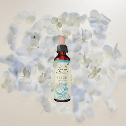 Bach Original Flower Remedies (Rock Water) Live & Let Live, Flexible Mind, Emotional Wellness, Natural Flower Essence, 20Ml