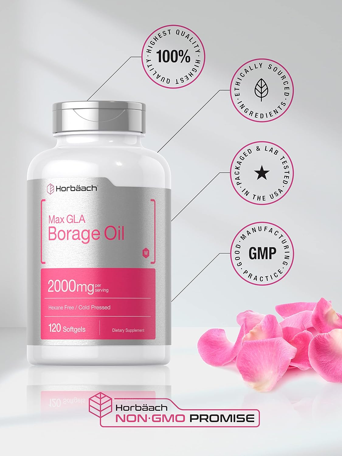 Horbäach Borage Oil Capsules 2000 mg | 120 Softgels | 320mg of GLA | Cold Pressed Seed Oil Supplement : Health & Household