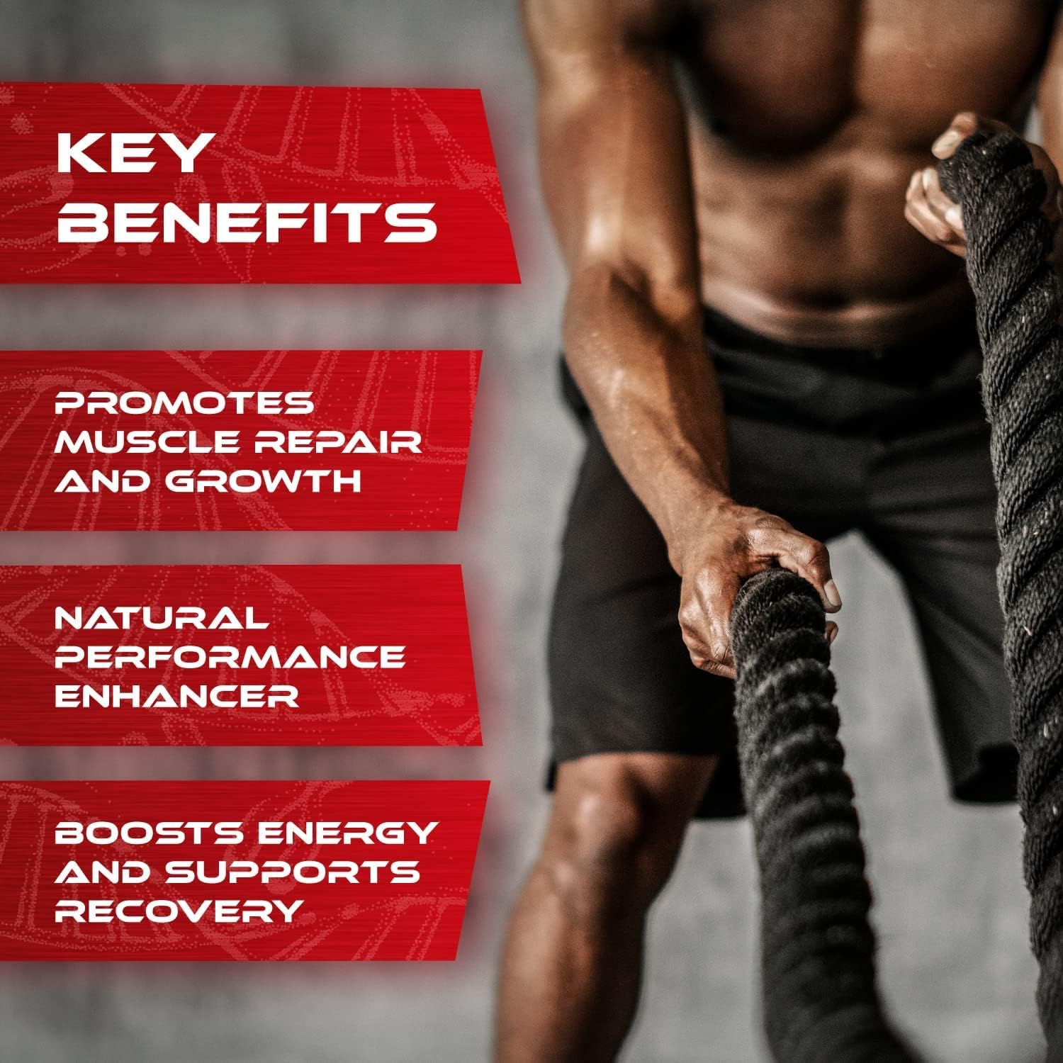 Fadogia Agrestis - High Strength - 2X Purity 20:1 Extract - 10,000mg Equivalent - 60 x 500mg Capsules - Lean Muscle Growth - Muscle Recovery - Athletic Performance - UK Made - GMP - No Additives : Amazon.co.uk: Health & Personal Care