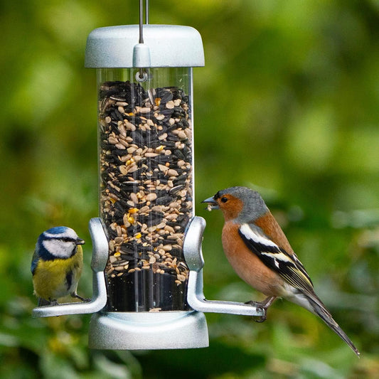 Jacobi Jayne Ring-Pull Click Small Seed Feeder, zinc Bird?RP3-S1Z