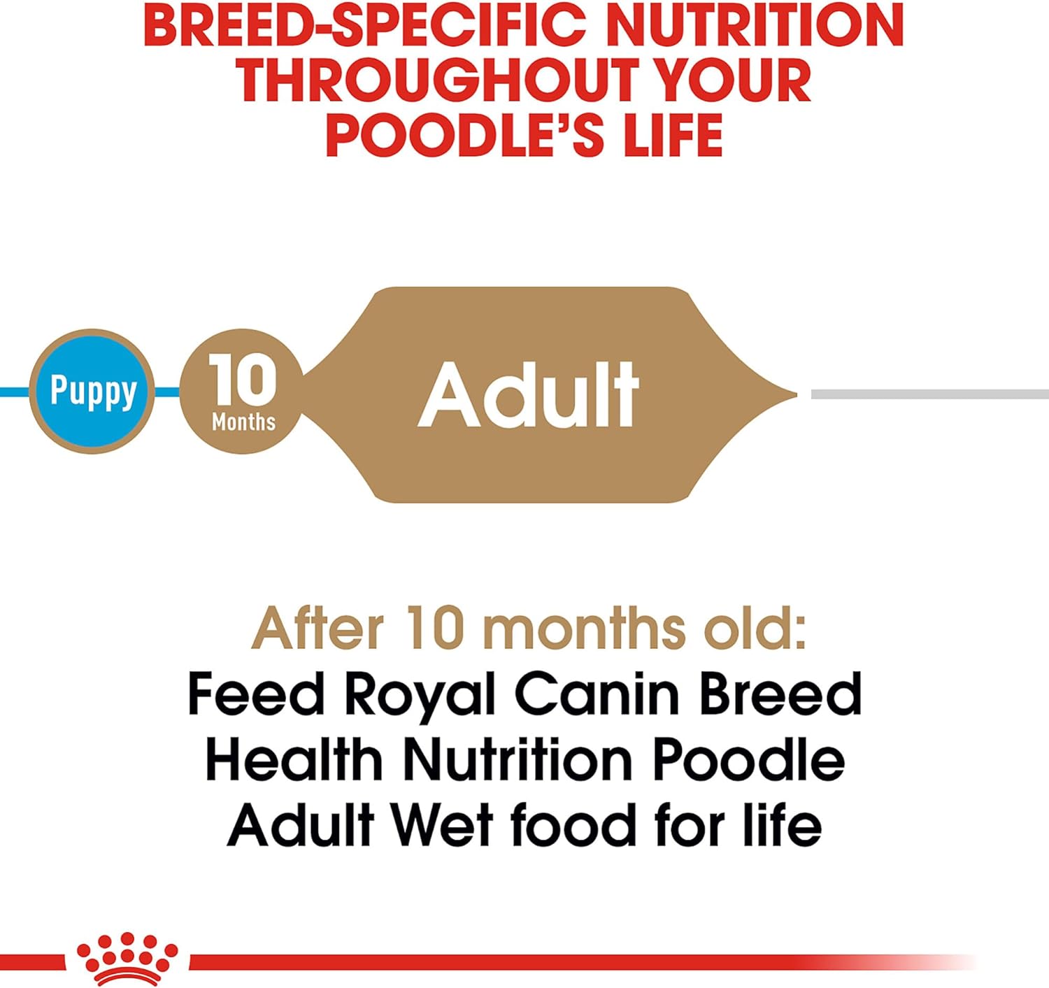 Royal Canin Poodle Adult Breed Specific Wet Dog Food, 3 oz can (24-count): Pet Supplies: Amazon.com
