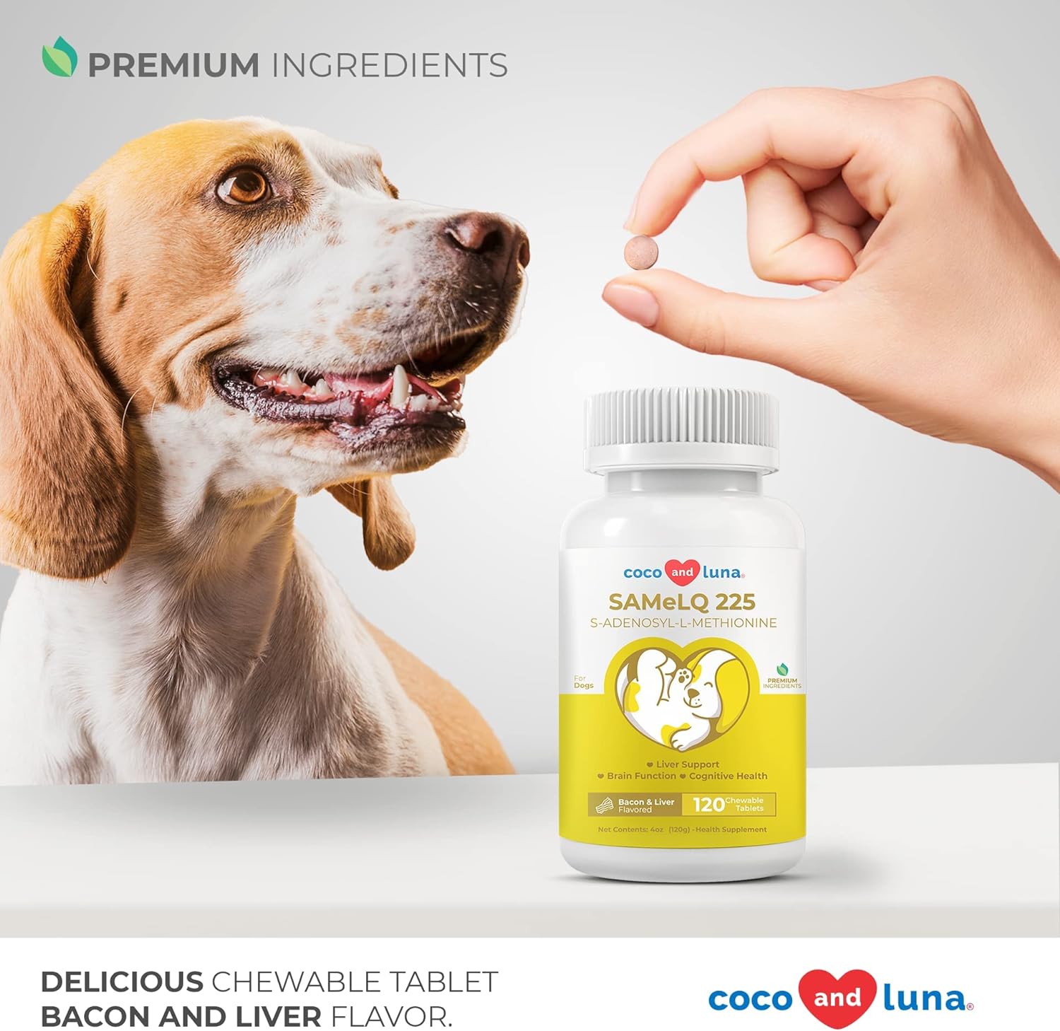 Same for Dogs - S-Adenosyl-L-Methionine, Liver Supplements for Dogs - Brain Supplement for Dogs, Promotes Cognitive Support, Liver Support Supplement : Pet Supplies
