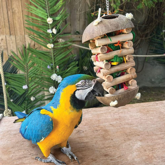 Foraging Hut Parrot Toy - Large