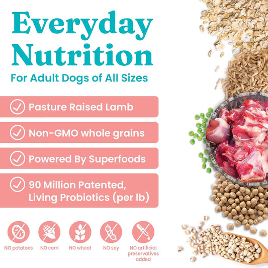 Solid Gold Hund N Flocken - Dry Dog Food w/Lamb, Rice & Pearled Barley - Digestive Probiotics for Dogs - Gut Health & Immune Support - Omega 3, Superfoods & Antioxidants - 4 LB