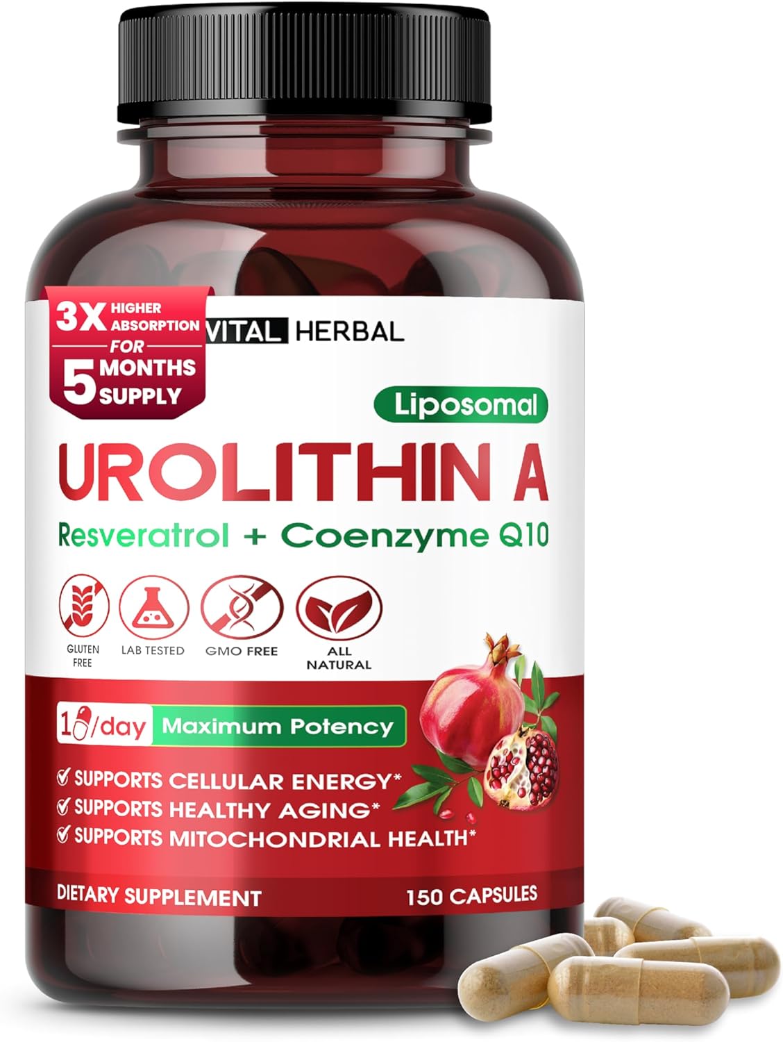 Urolithin A Supplement With Resveratrol Coenzyme Q10– 150 Capsules – Supports Mitochondrial Health, Cellular Energy & Healthy Aging – Made In The Usa