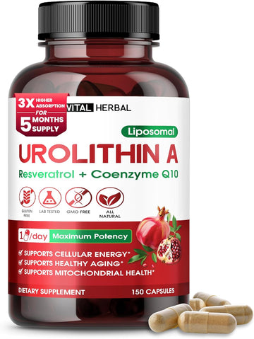 Urolithin A Supplement With Resveratrol Coenzyme Q10– 150 Capsules – Supports Mitochondrial Health, Cellular Energy & Healthy Aging – Made In The Usa