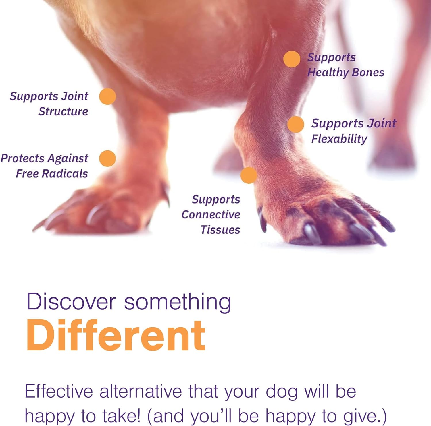 MoVoFlex Joint Support Supplement for Dogs - Hip and Joint Support - Dog Joint Supplement - Hip and Joint Supplement Dogs - 120 Soft Chews for Small Dogs (by Virbac) : Pet Supplies