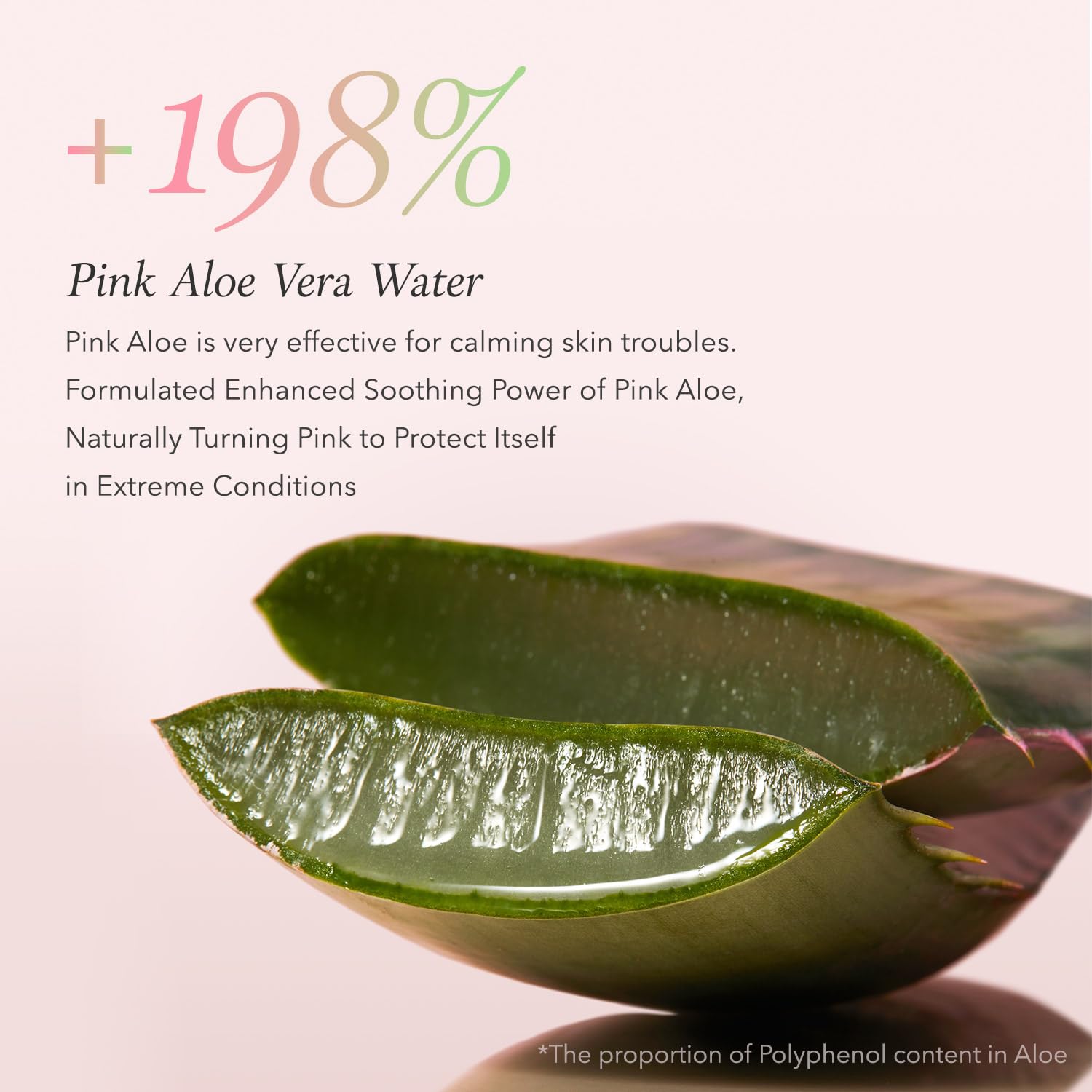Aprilskin Pink Aloe Facial Polish Cleanser | Gentle Exfoliation With Mungbean & Soybean Scrub | Removes Waterproof Makeup & Sunscreen | Non-Comedogenic Cleanser For All Skin Types | Korean Skincare : Beauty & Personal Care
