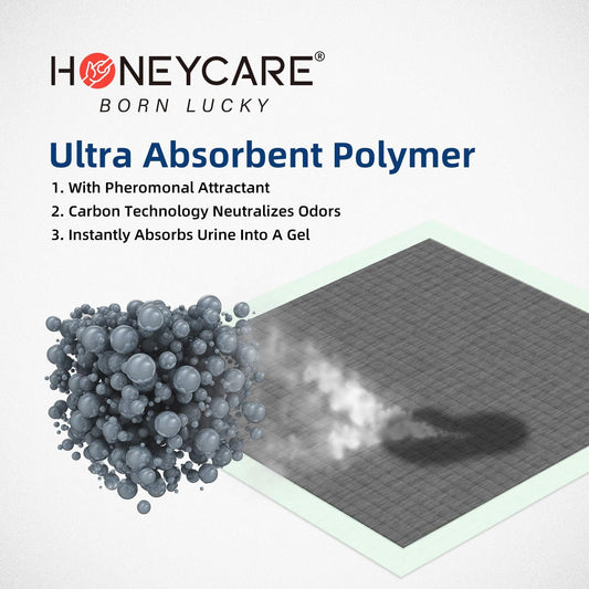 Honey Care All-Absorb Puppy Training Pads | Doggie Potty Pads Absorb Eliminating Urine Odor, Ultra Charcoal Dog Pee Pad (Carbon, L 22X23 Inch, 100Ct)