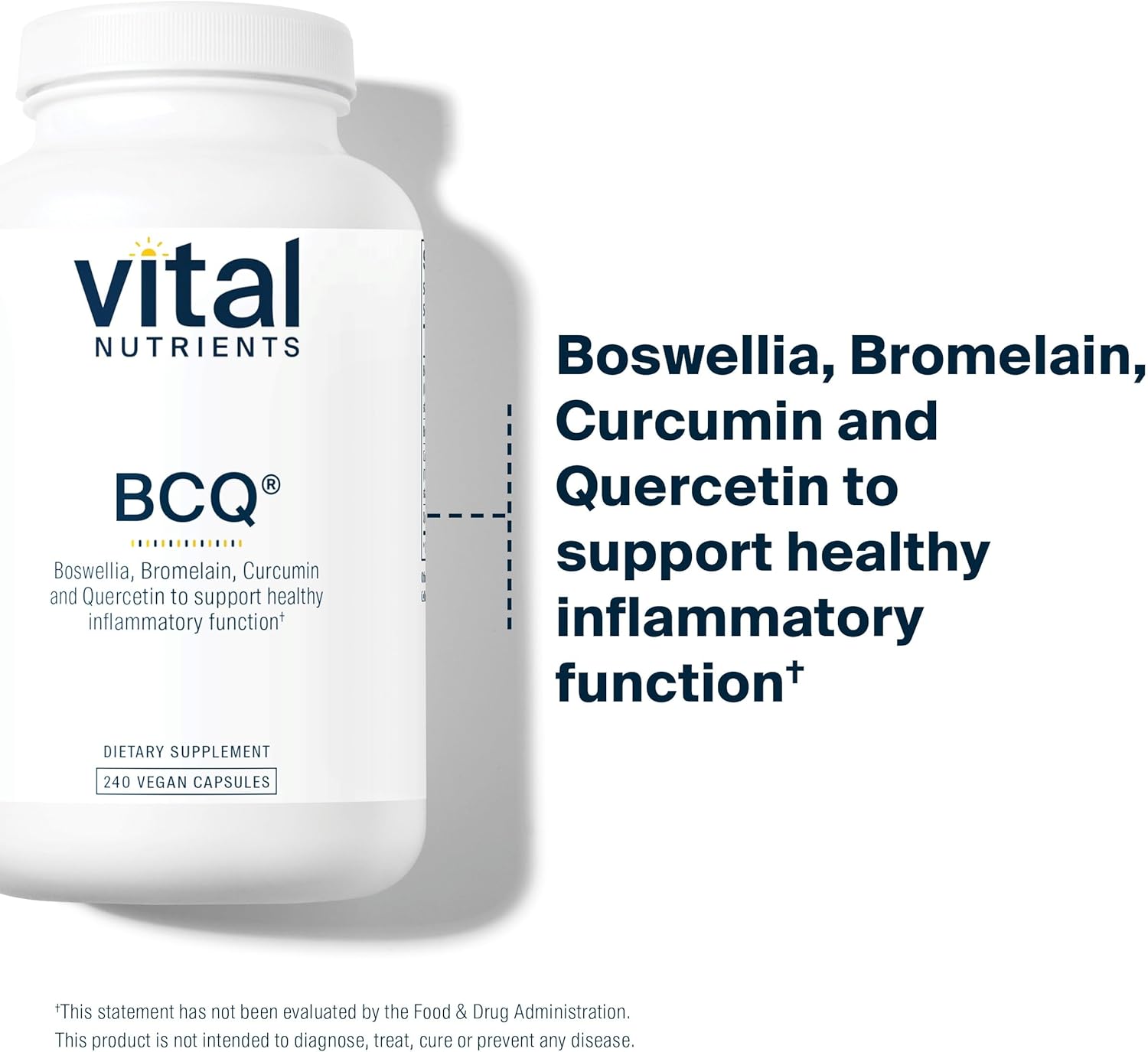 Vital Nutrients BCQ | Vegan Boswellia, Bromelain, Curcumin & Quercetin Supplement | Joint Support Supplement | Supports Sinus & Digestive Health | Gluten, Dairy, Soy Free | 240 Capsules : Health & Household