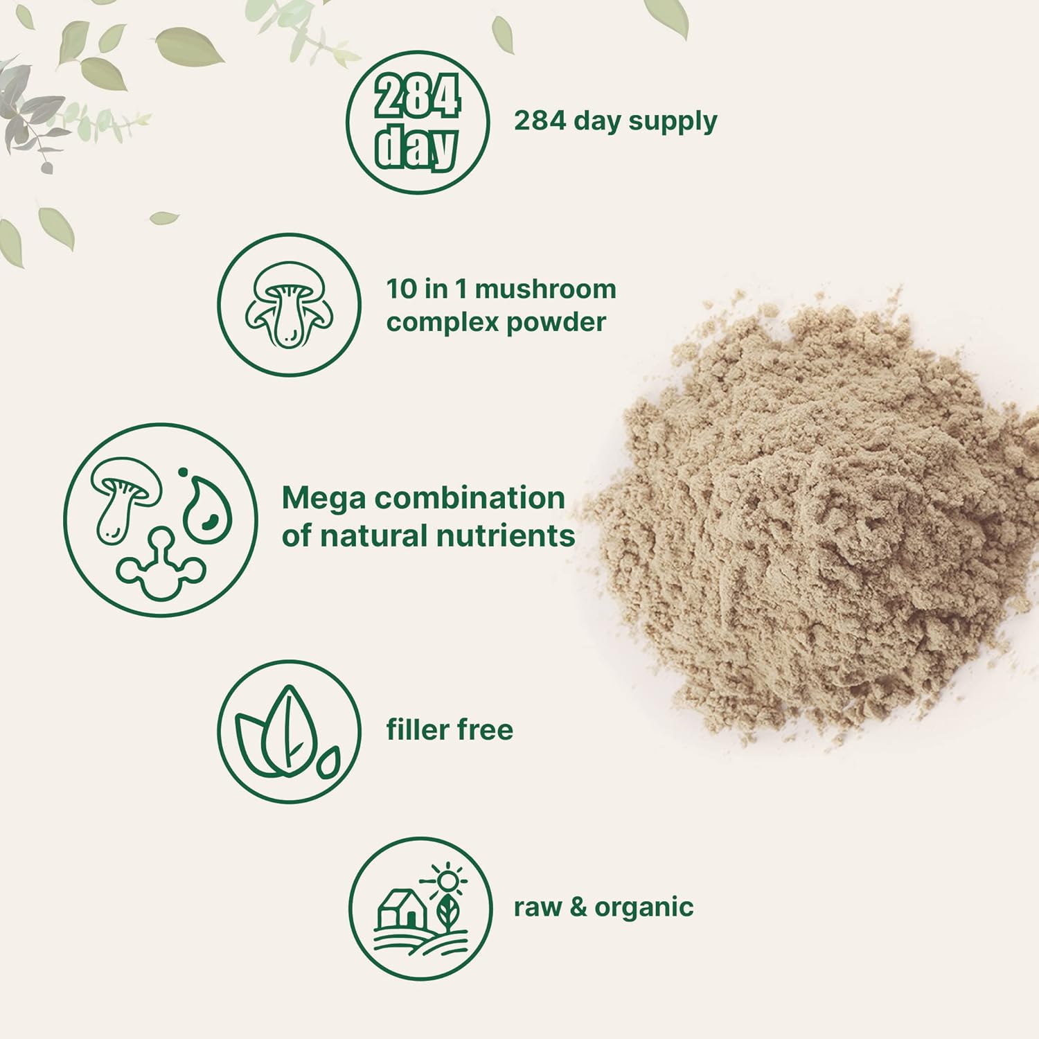 Micro Ingredients Organic Mega Mushroom 10 in 1 Complex Formula Powder for Immune System Booster, 10 Ounce (284 Days Supply), Chaga, Lions Mane, Cordyceps, Reishi & More, Filler Free, Vegan : Health & Household
