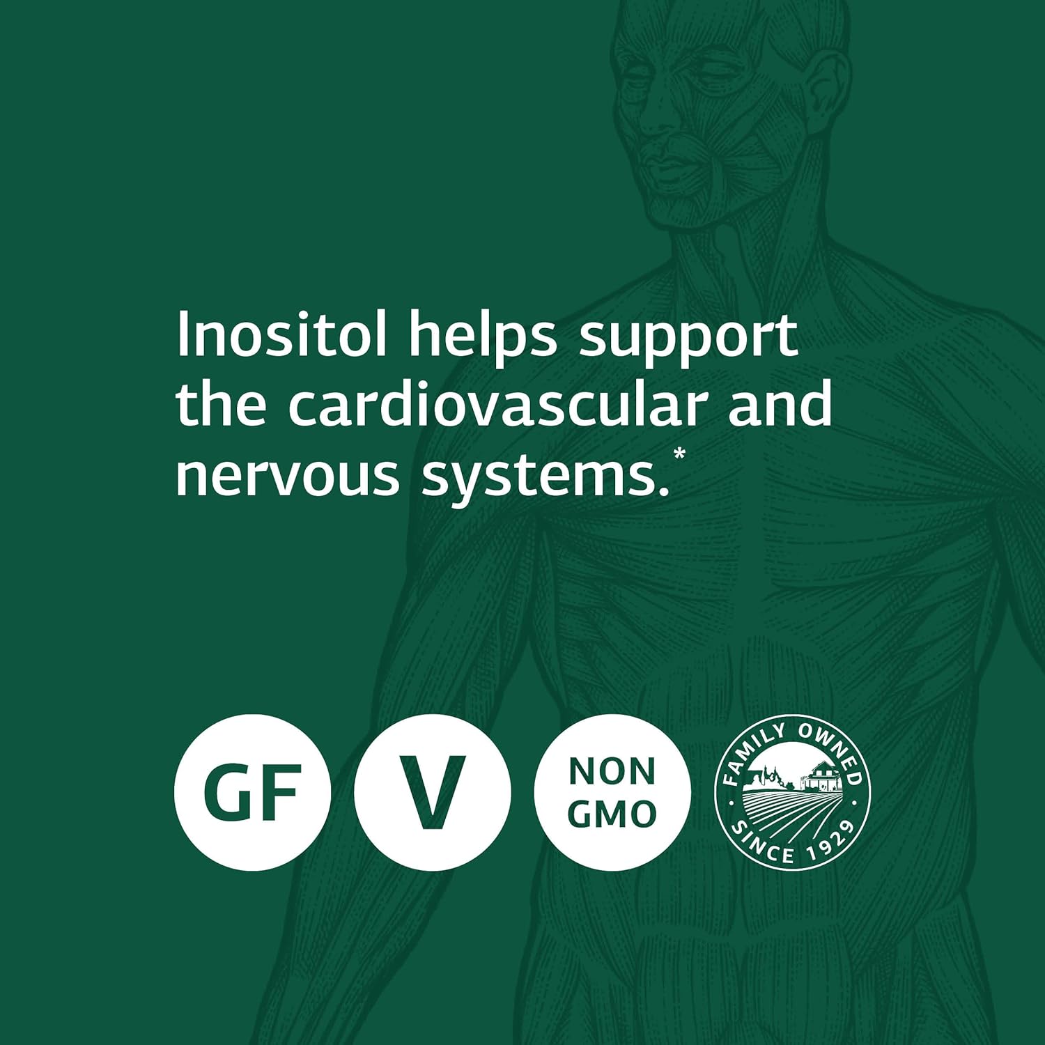 Standard Process Inositol - Whole Food Nervous System Supplements, Heart Health and Liver Support with Inositol Powder - Vegetarian, Gluten Free - 90 Tablets : Health & Household