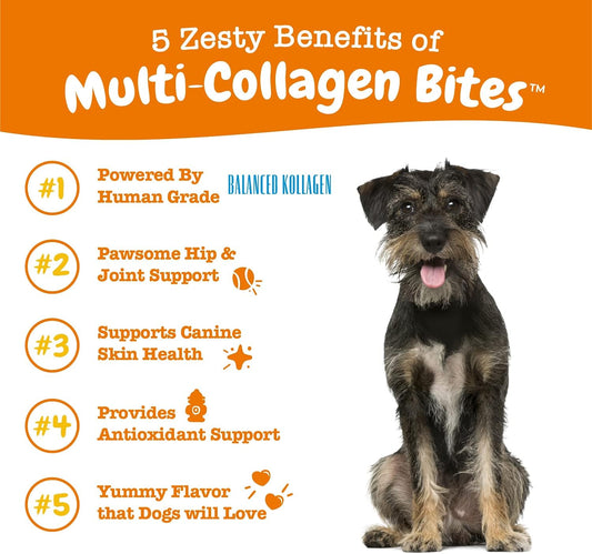 Zesty Paws Multi Collagen Soft Chews For Dogs - For Hip, Joint & Cartilage Support + Skin Health - With Collagen - Plus Eggshell Membrane, Vitamin C & Hyaluronic Acid - 90 Count