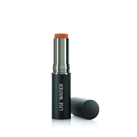 Lise Watier Teint Velours Velvet Matte Foundation Stick, Bronzé, 0.3 Oz : Beauty & Personal Care