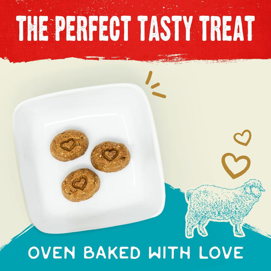 Stella & Chewy'S Freeze-Dried Raw Coated Dog Biscuits – Grass-Fed Lamb Recipe – Protein Rich, Grain Free Dog & Puppy Treat – Great Snack For Training & Rewarding – 9 Oz Bag