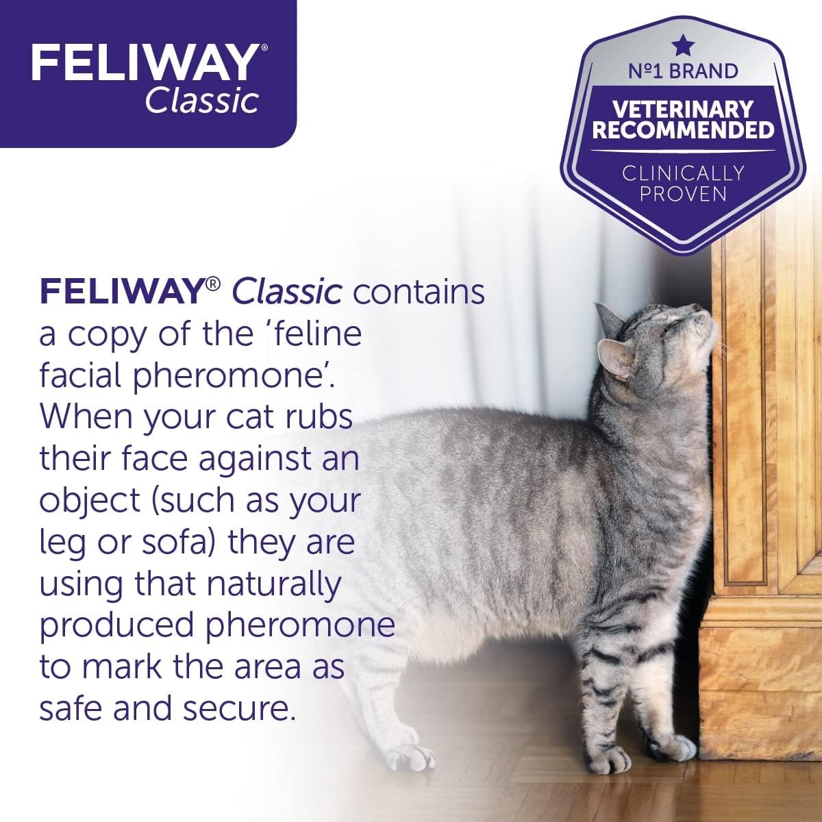 FELIWAY Classic 60ml Spray, comforts cats and helps solve behavioural issues and stress/anxiety in the home and on the move - 60ml :Pet Supplies