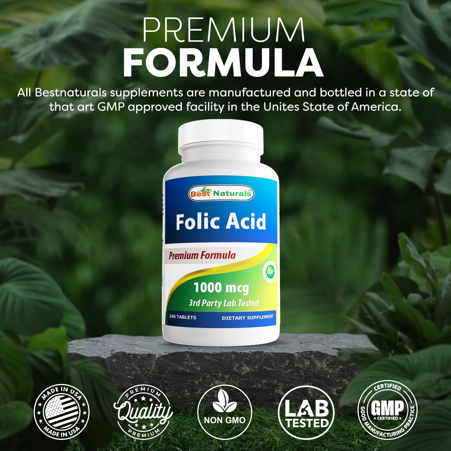 Best Naturals Folic Acid 1000 Mcg (Vitamin B9), 240 Tablets : Health & Household