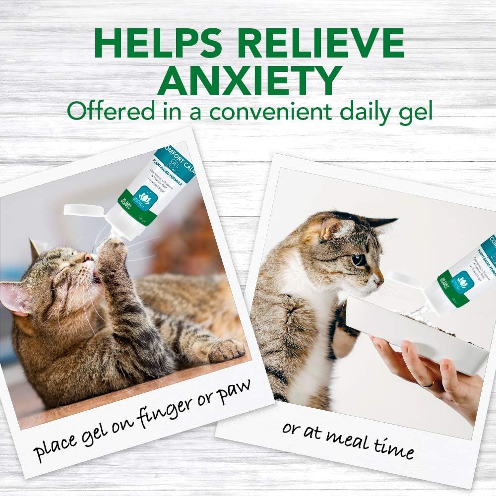 Vet's Best Comfort Calm Calming Cat Supplement - Promotes Relaxation and Balanced Behaviour, 100g :Pet Supplies