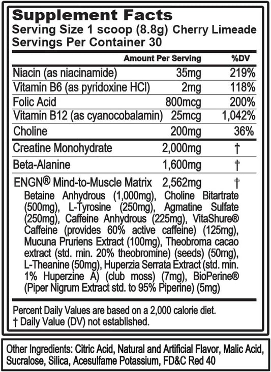 Evlution Nutrition Engn Focus - Intense Pre-Workout With Creatine - Maximum Focus Formula - Pre-Workout Powder For Lasting Energy - With Beta-Alanine & Caffeine - 30 Servings - Watermelon