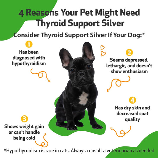 Pet Wellbeing Thyroid Support Silver For Dogs - Supports Underactive Thyroid, Metabolism, Energy - Veterinarian-Formulated Herbal Supplement 2 Oz (59 Ml)