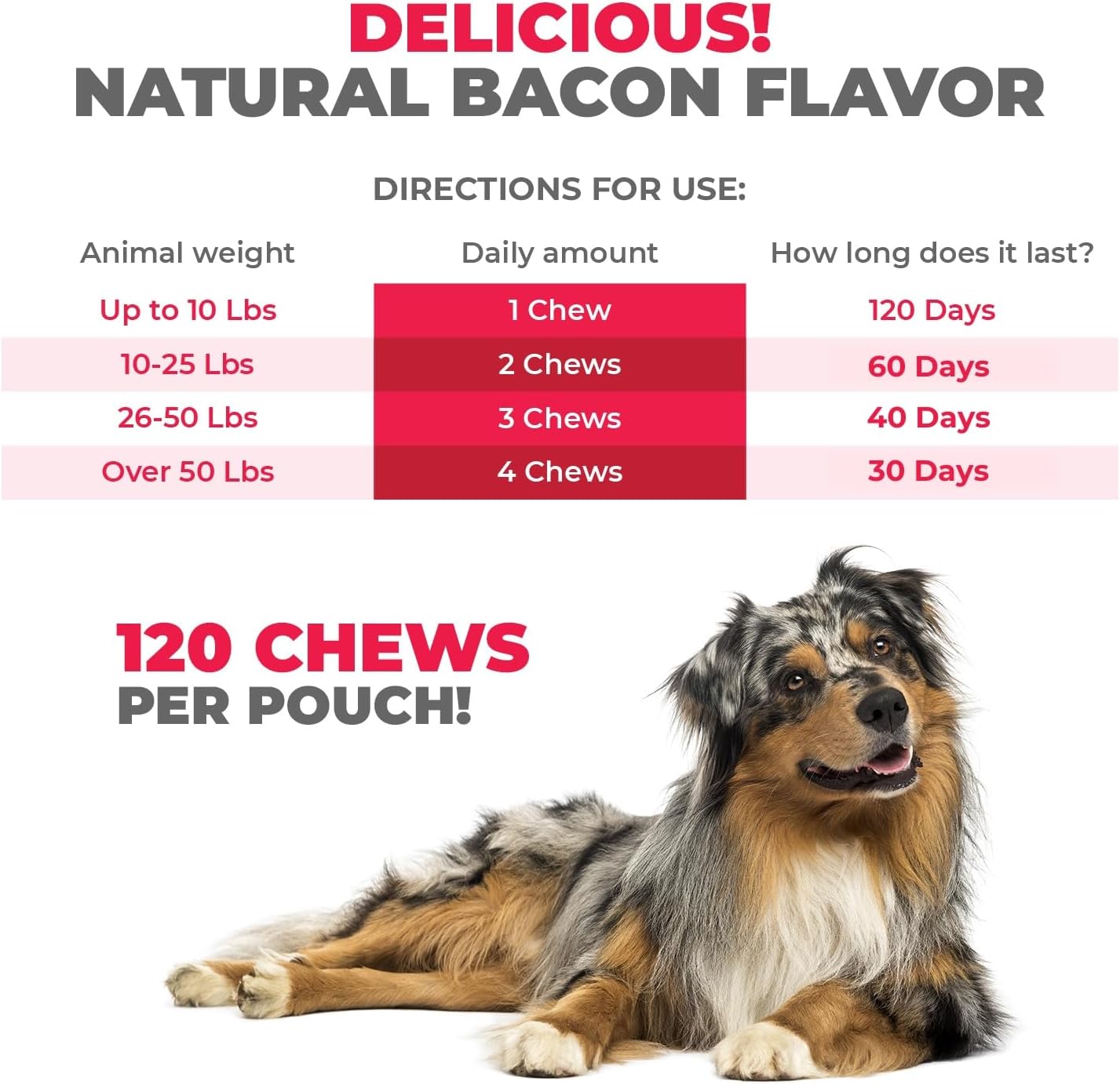 Mighty Petz MAX Dog Allergy Relief Chews - Itch Relief for Dogs. Dog Allergy Chews, Seasonal Allergies, Dog Itchy Skin & Immune Support Supplement. Colostrum & Probiotics : Pet Supplies
