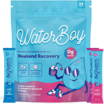 Waterboy Weekend Recovery Variety | 3,200Mg Electrolyte Powder Packets | Ginger + L-Theanine + Vitamins | No Sugar, All Natural, Gluten Free | 24 Drink Stick Mixes (Variety Pack)