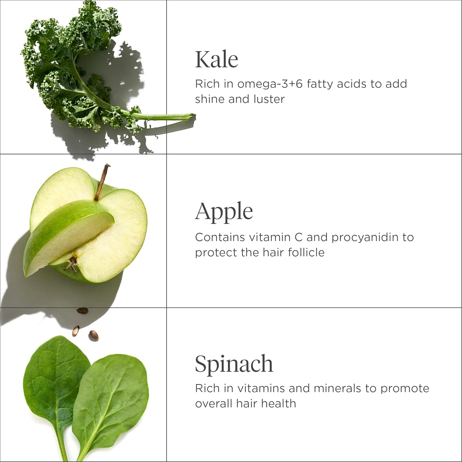 Briogeo Superfoods Kale and Apple Replenishing Conditioner, Supports Healthy, Balanced Hair and Scalp, Vegan, Phalate & Paraben-Free - 369 ml : Amazon.co.uk: Beauty