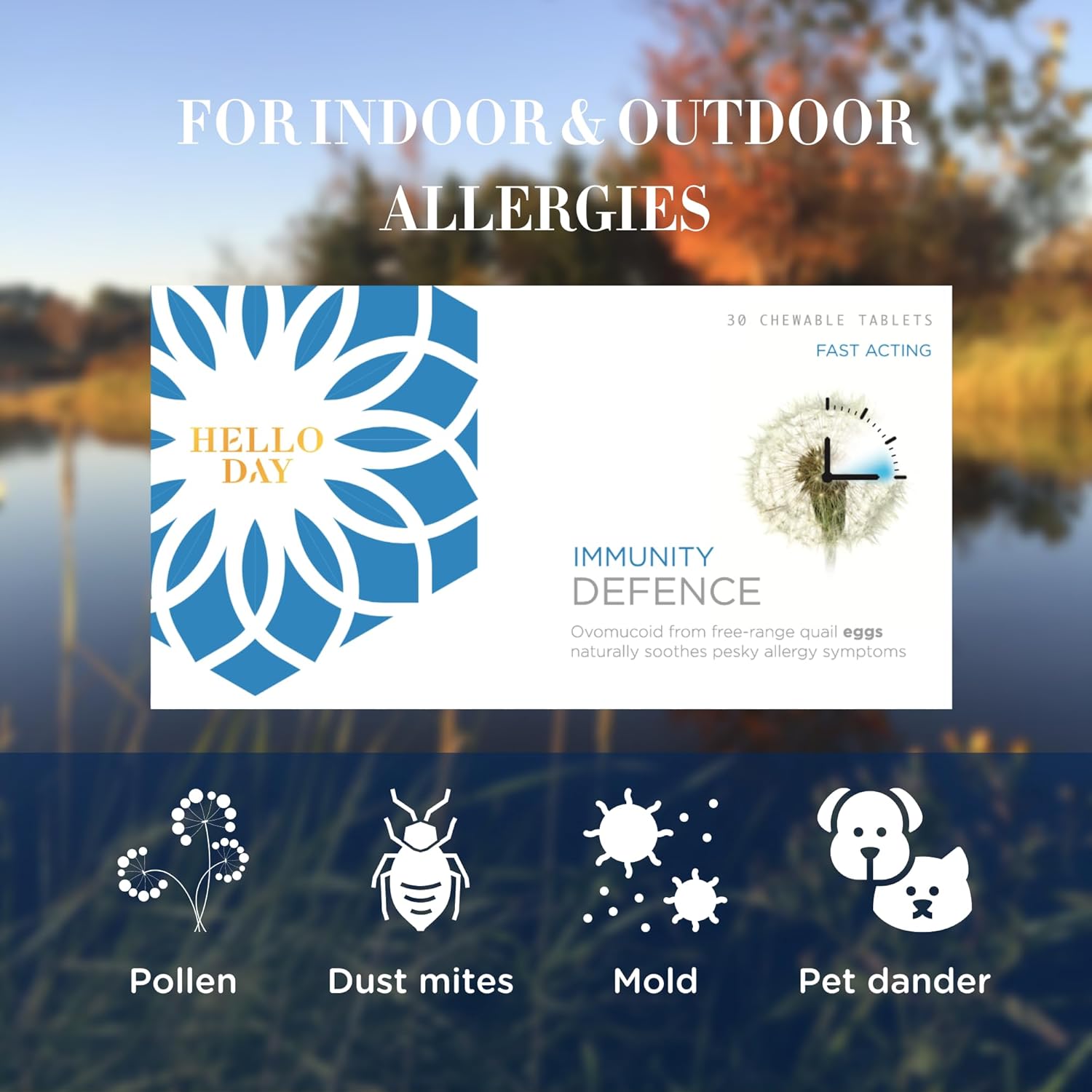 Hello Day - Immunity Defence - Unique Patented Drug Free Hayfever Relief - 30 Chewable Tablets - Clinically Proven - Pharma Grade : Amazon.co.uk: Health & Personal Care