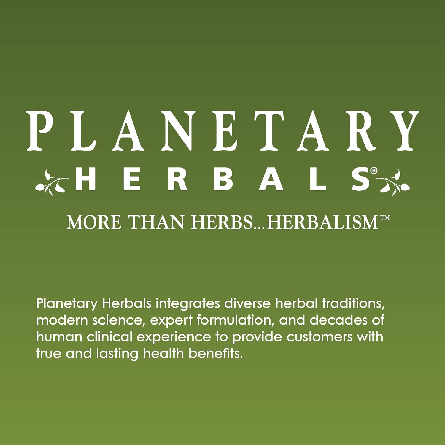 Planetary Herbals Goji Berry Full Spectrum 700mg, Botanical Elixir for Health and Longevity,180 Vegetarian Capsules : Health & Household