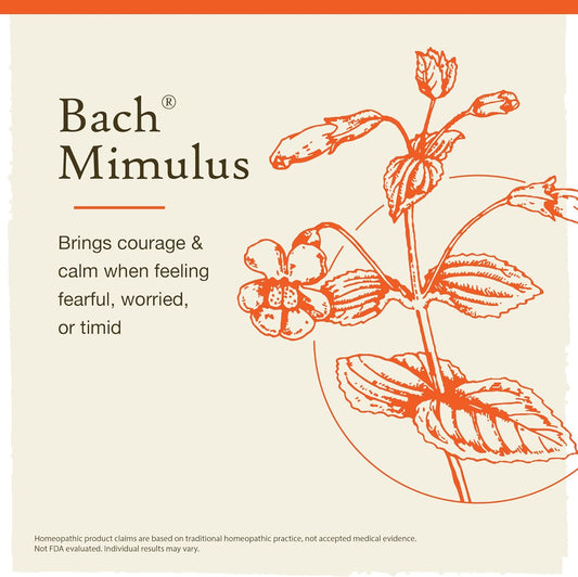 Bach Original Flower Remedies, Mimulus For Facing Fears (Non-Alcohol Formula), Natural Homeopathic Flower Essence, Holistic Wellness And Stress Relief, Vegan, 10Ml Dropper