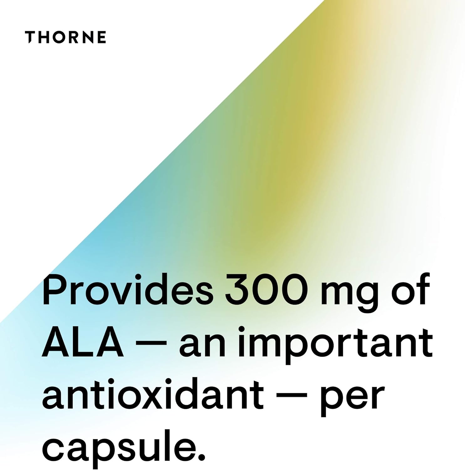 THORNE Alpha-Lipoic Acid - 300 mg - Supplement Liver Detox, Antioxidant Support, Nerve Health and Mental Sharpness - 60 Capsules : Health & Household